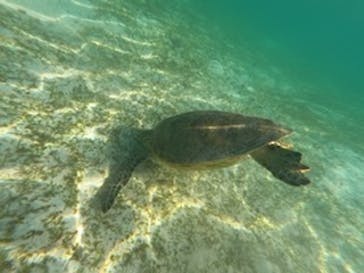 ちゃこたびに投稿された画像（2021/9/23）