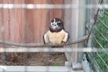 天王寺動物園に投稿された画像（2021/9/25）