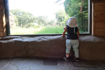 天王寺動物園に投稿された画像（2021/9/24）