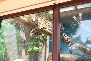 天王寺動物園に投稿された画像（2021/9/24）