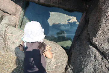 天王寺動物園に投稿された画像（2021/9/24）