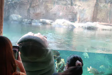 天王寺動物園に投稿された画像（2021/9/24）