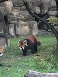 天王寺動物園に投稿された画像（2021/9/25）