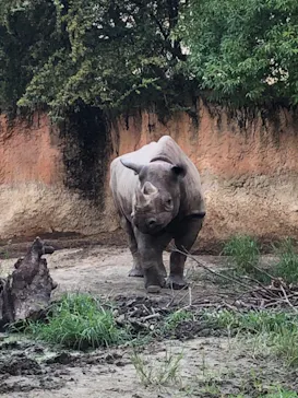 天王寺動物園に投稿された画像（2021/9/24）