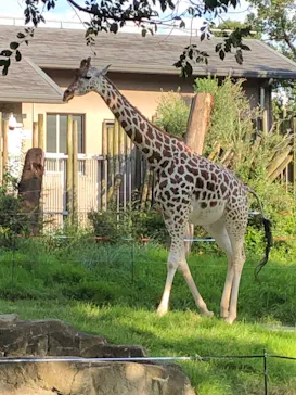 天王寺動物園に投稿された画像（2021/9/24）