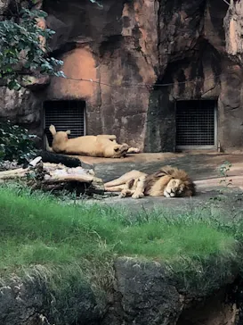 天王寺動物園に投稿された画像（2021/9/24）