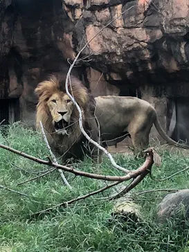天王寺動物園に投稿された画像（2021/9/24）