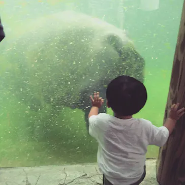 天王寺動物園に投稿された画像（2021/9/25）