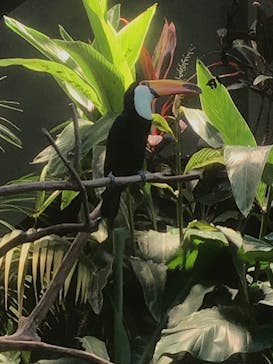 カワスイ 川崎⽔族館に投稿された画像（2021/9/25）