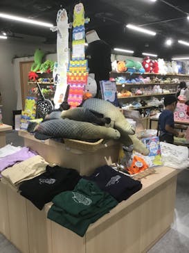 カワスイ 川崎⽔族館に投稿された画像（2021/9/25）