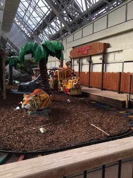 東京サマーランドに投稿された画像（2021/9/25）