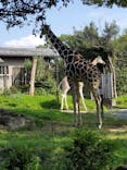 天王寺動物園に投稿された画像（2021/9/25）