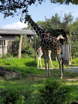 天王寺動物園に投稿された画像（2021/9/25）