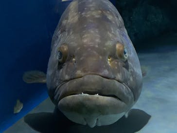 名古屋港水族館に投稿された画像（2021/9/25）