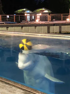 横浜・八景島シーパラダイスに投稿された画像（2021/9/25）