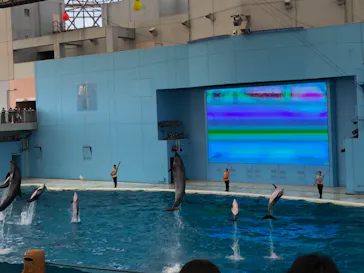 横浜・八景島シーパラダイスに投稿された画像（2021/9/25）