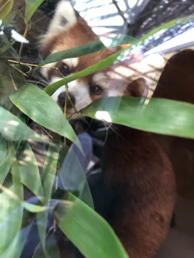 横浜・八景島シーパラダイスに投稿された画像（2021/9/25）