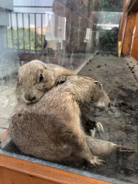 横浜・八景島シーパラダイスに投稿された画像（2021/9/25）