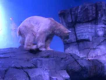 横浜・八景島シーパラダイスに投稿された画像（2021/9/25）