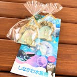 しながわ水族館に投稿された画像（2021/9/25）