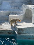 天王寺動物園に投稿された画像（2021/9/25）