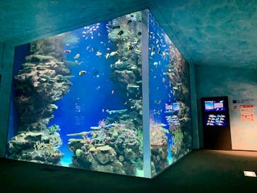 島根県立 しまね海洋館に投稿された画像（2021/9/25）