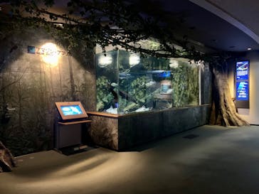 島根県立 しまね海洋館に投稿された画像（2021/9/25）