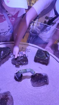 南知多ビーチランド＆南知多おもちゃ王国に投稿された画像（2021/9/25）