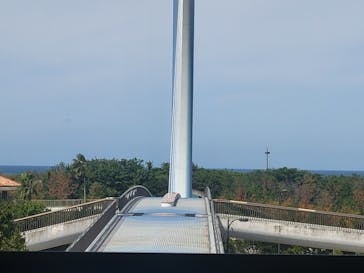 島根県立 しまね海洋館に投稿された画像（2021/9/25）