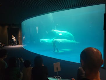 島根県立 しまね海洋館に投稿された画像（2021/9/25）