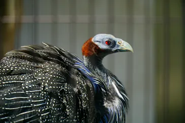 天王寺動物園に投稿された画像（2021/9/25）