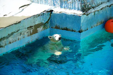 天王寺動物園に投稿された画像（2021/9/25）