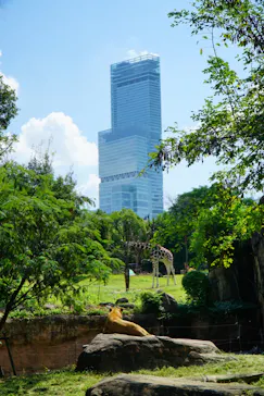 天王寺動物園に投稿された画像（2021/9/25）