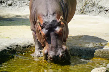 天王寺動物園に投稿された画像（2021/9/25）