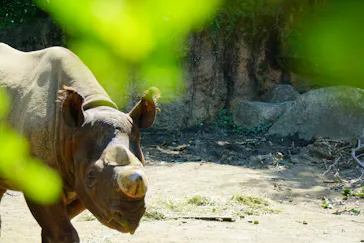 天王寺動物園に投稿された画像（2021/9/25）