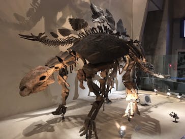 国立科学博物館に投稿された画像（2021/9/25）