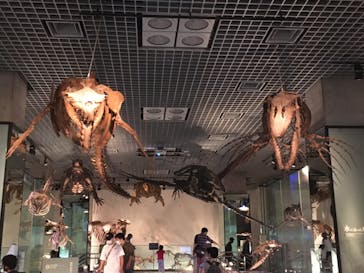 国立科学博物館に投稿された画像（2021/9/25）