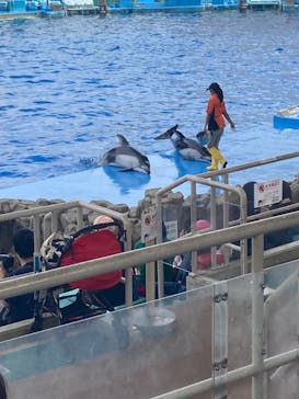 名古屋港水族館に投稿された画像（2021/9/25）