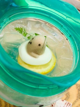 京都水族館に投稿された画像（2021/9/25）