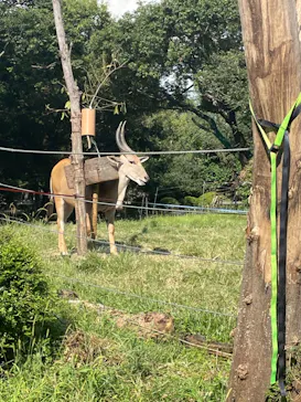天王寺動物園に投稿された画像（2021/9/25）