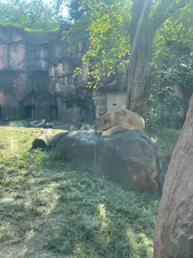 天王寺動物園に投稿された画像（2021/9/25）