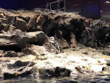 すみだ水族館に投稿された画像（2021/9/25）