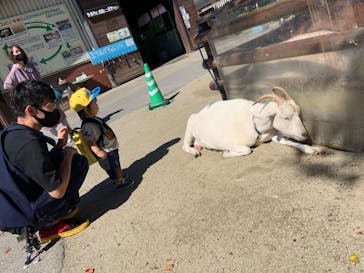 那須高原りんどう湖ファミリー牧場に投稿された画像（2021/9/25）