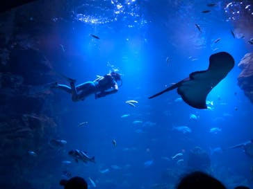 京都水族館に投稿された画像（2021/9/25）
