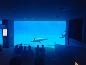 名古屋港水族館に投稿された画像（2021/9/25）