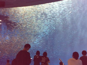 名古屋港水族館に投稿された画像（2021/9/25）