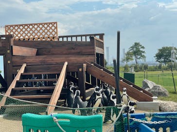 名古屋港水族館に投稿された画像（2021/9/25）