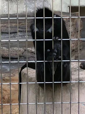天王寺動物園に投稿された画像（2021/9/25）