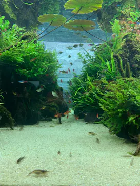 すみだ水族館に投稿された画像（2021/9/25）