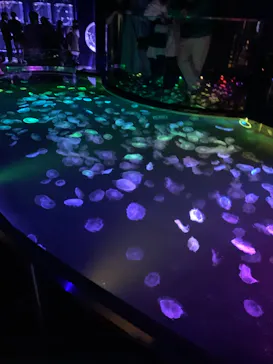 すみだ水族館に投稿された画像（2021/9/25）